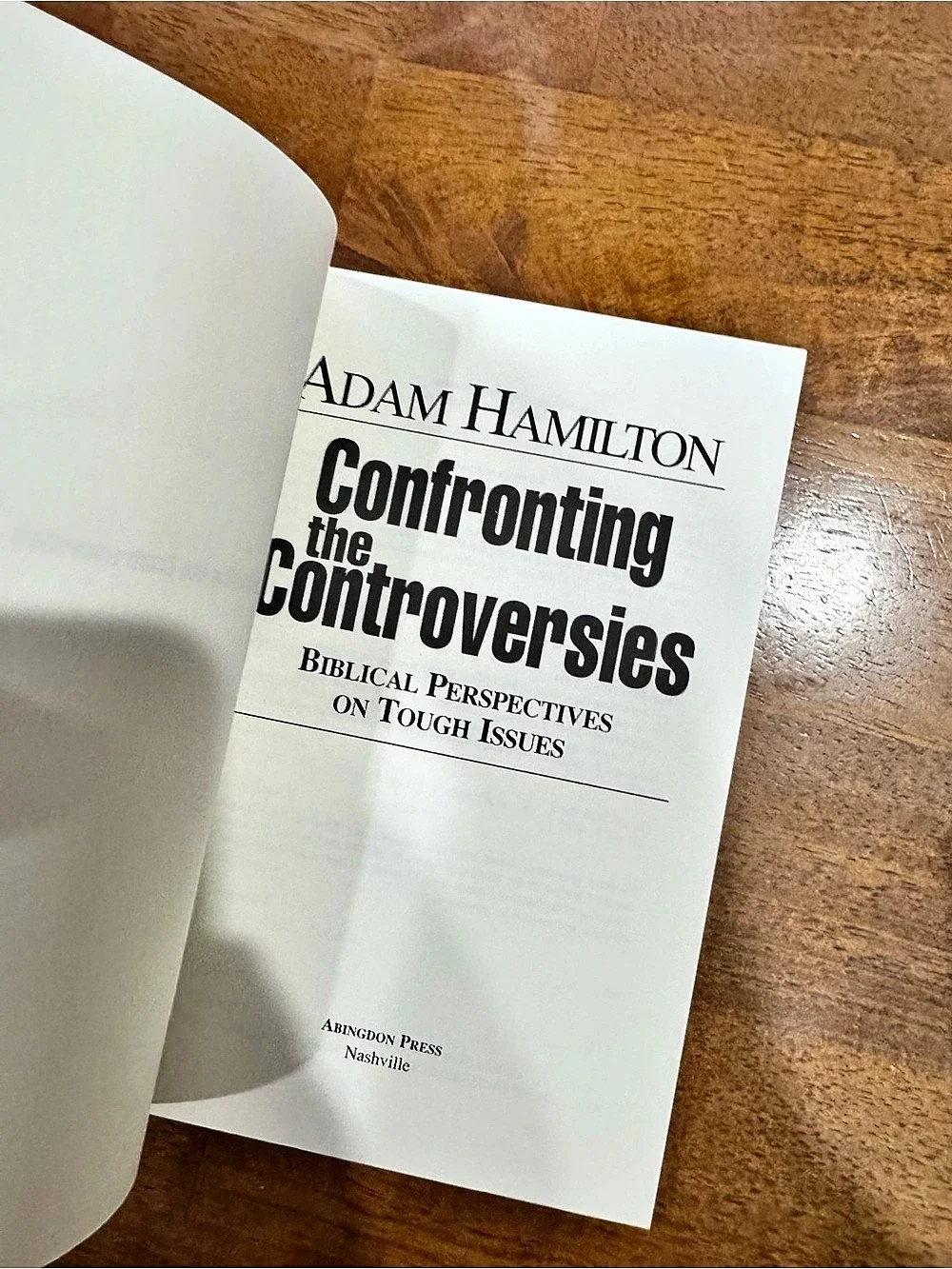 Abingdon Press Confronting the Controversies Religious Studies Book